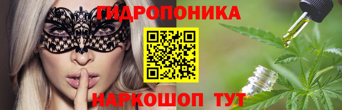 Сосновый Бор  LSD-25  МЕФ кристаллы  ЭКСТАЗИ  Конопля  Вход с VPN  КОКАИН  ГАШ 